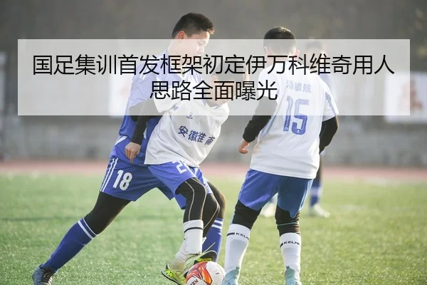 国足集训首发框架初定伊万科维奇用人思路全面曝光
